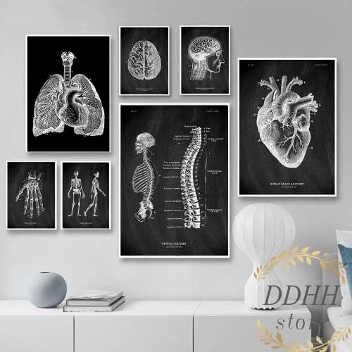 Human Anatomy Wall Art Picture Skeleton Organ Muscle System Vintage Canvas Print Poster For Medical Clinic Doctor Office Decor