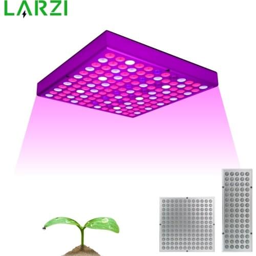 LARZI Phytolamps For Plants