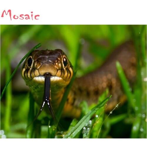 Diamond Painting Cross Stitch Animal Snake Painting Full Square Diamond Embroidery Needlework Diamond Mosaic Rhinestones Hobby