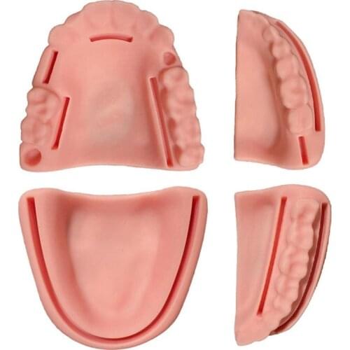 Silicone Artificial Oral Teeth Gum Suture Training Kit Common Types Of Wounds For Dentist Practice And Training