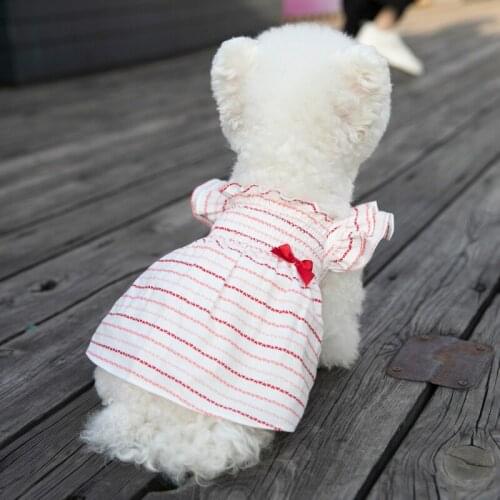 Cat Dog Dress Skirt Summer Small Dog Clothes Yorkshire Chihuahua Doggy Puppy Dresses Poodle Pomeranian Bichon Schnauzer Clothing