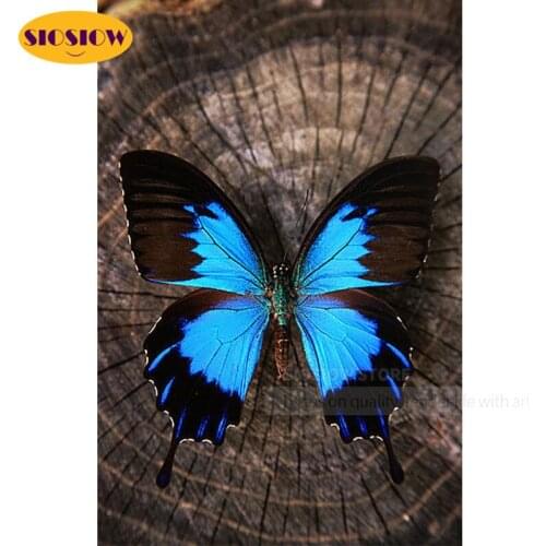 SIOSIOW 5d Diy Diamond Painting Animal Butterfly Blue Full Square Diamond Mosaic Embroidery Chinese Cross Stitch Decor Home Room