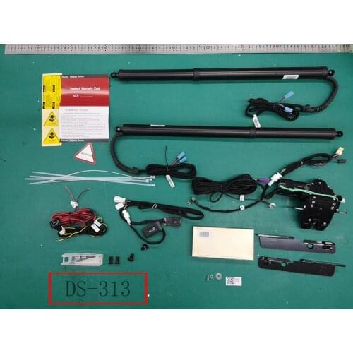 DS-313 Electic Suction Tailgate for FORD
