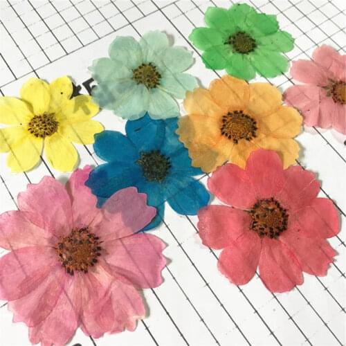 60pcs Pressed Dried Sims Azalea Flowers Plant Herbarium For For Jewelry Bookmark Phone Case Photo Frame Candle Craft&Art DIY