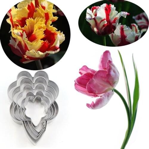 Tulipa 5Pcs Stainless Stell Cookie Cutter Pastry & Biscuit Baking Cutter Cake Decorating Tools Cupcake Mold Fondant Tools