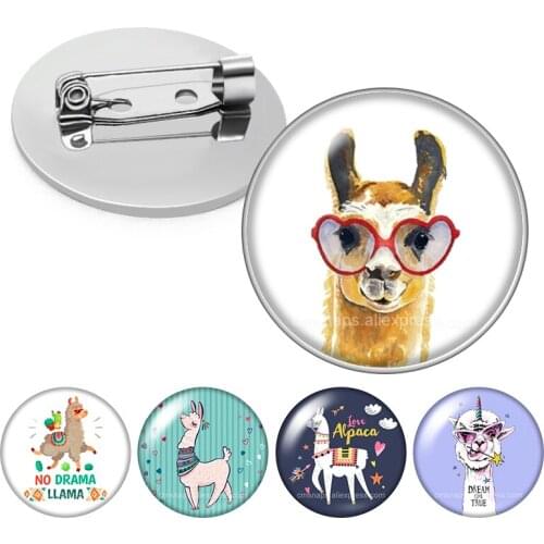 Fashion no drama no prob llama Alpaca Glass cabochon Brooch Dome Photo Jewelry Brooches Pin Men Woman Gift