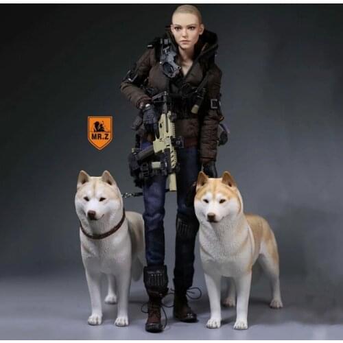 1/6Scale Mr.Z Husky Siberian Husky Simulation Animal Model Toy For 12' Action figure accessory Home Car Decoration