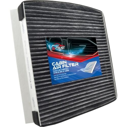 Bi-Trust Cabin Air Filter for 2012-2016 Hyundai Equus/2009-2016 Hyundai Genesis 3.8 4.6 2012-2016 5.0/2018-2019 Genesis G80