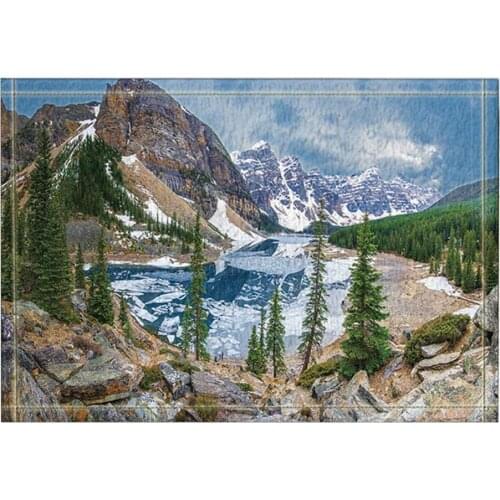 Beautiful Natural Scenery Valley Snow Mountain Bath Rugs Non-Slip Doormat Floor Entryways Outdoor Indoor Front Door Mat Kids
