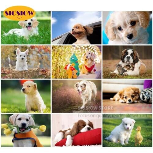 SIOSIOW New Arrivals 5d Diy Diamond Painting Dog Animals Daimond Embroidery Full Drill Resin Square Rhinestone Picture Mosaic