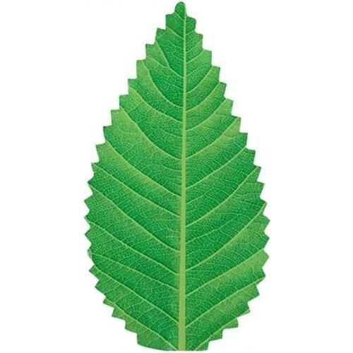 200Pcs Green Leaf Japanese Food Sushi Decoration Leaves Sushi Grass Creative Plastic Leaf Sashimi Decor Tools