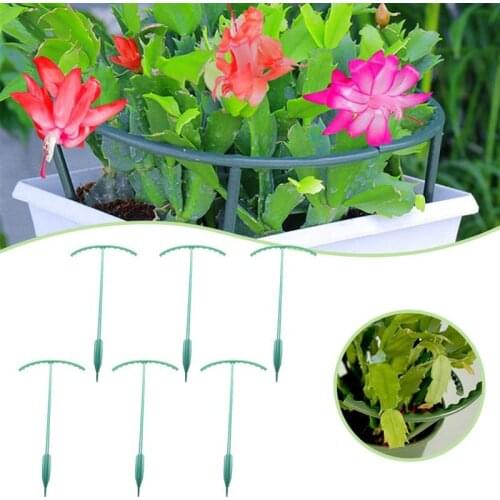 Green Half Round Plant Cage Holder Plants Support Stand Plant Climbing Frame for Morning Glory Crab Cactus