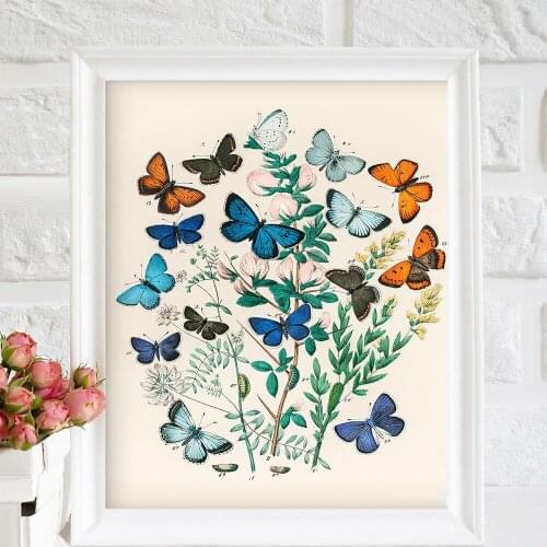 Retro Museum Butterfly Print Poster Kindergarten Girl Color Wall Art Female Gift Creative Canvas Painting Bedroom Home Decor