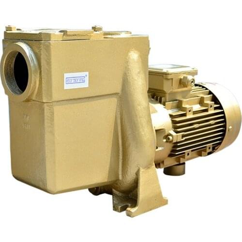 High pressure centrifugal circulation cast iron water pump swimming pool