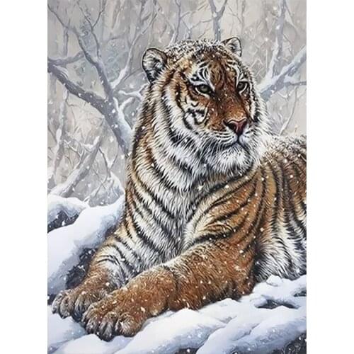 DIY HandPainted Oil Painting Painting By Numbers Cat Tiger Picture Paint Unique Gift Home Decor 40x50cm