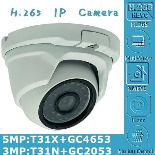 940nm Invisible Light 3/5MP IP Ceiling Metal Dome Camera T31N+GC2053 2304*1296 T31X+GC4653 2592*1904 Onvif IRC 24 LEDs Infrared