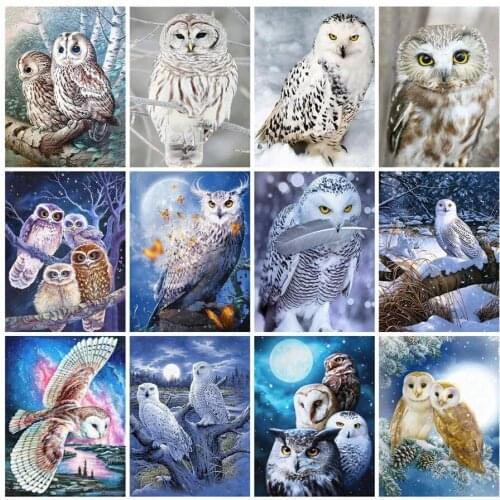 Night Owl Diamond Painting Birds Scenery Mosaic Art Sticker Embroidery Stones Picture Puzzle Toys Kids Gifts Decor Small Size