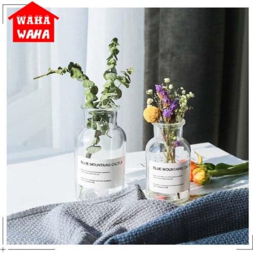 Nordic Transparent Glass Vases Terrarium Containers Hydroponics Plant Flower vase Flower Bouquet Living Room Table Decorative