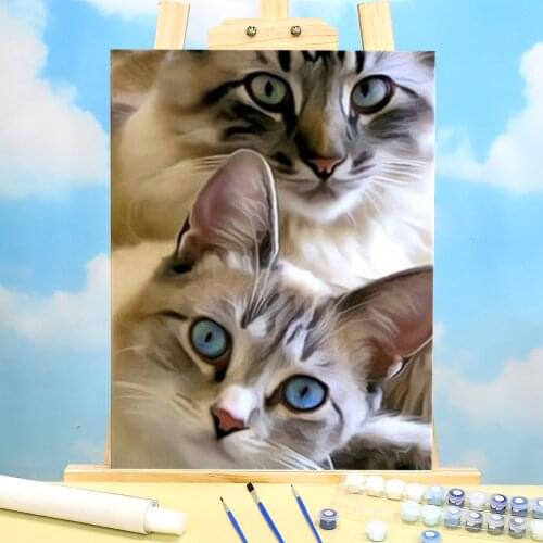 Animal Cat Paint By Numbers Complete Kit Oil Paints 50*70 Canvas Painting Handmade Crafts Adults Drawing