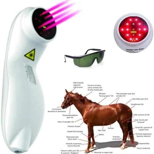 Veterinary Use Pets Dog Cat Horse Clinic Wound Healing Device Cold Laser Therapy Phototherapy Device for Animals Pain Reliever