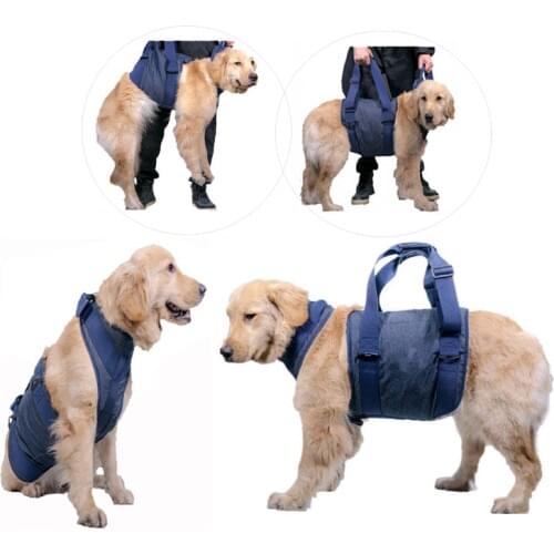 Dog Lifting Harness Auxiliary Belt Rehabilitation Vest Harness For Pet Mobility Arthritis Surgery Elderly Dogs Safety Walking