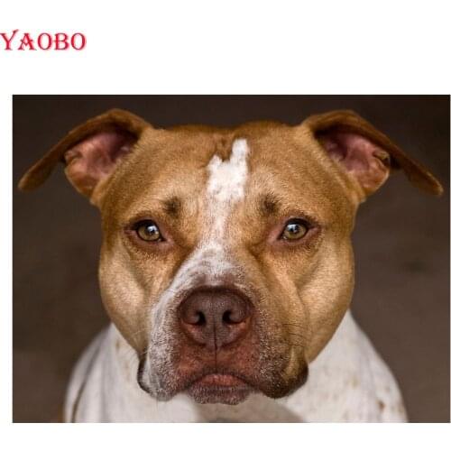 DIY Diamond painting Cross stitch kits Pit Bull Terrier dog Pictures of rhinestone embroidery full square mosaic decoration home