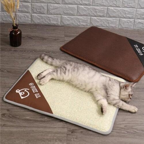 Pet Pad Summer Cooling Mat Dog Beds Cat Sleeping Mat Dual-Use Sponge Sofa Moisture-Proof Cooler Mattress Mata Dla Psa