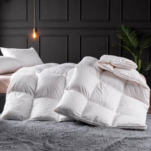 White Comforter Bedding Duvet Insert Soft Goose Down Quilt Quilted Comforter Blanket Twin Size All Queen Season Full