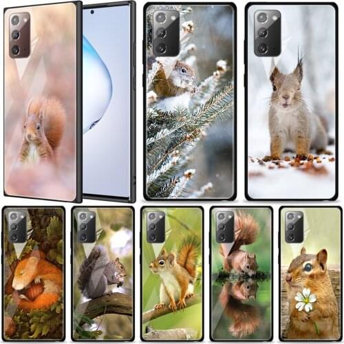 Cute Squirrel Nature Tempered Glass For Samsung Galaxy Note 20 Ultra 10 9 8 Plus Lite A70 A50 A40 A30 A20 A10 Phone Case