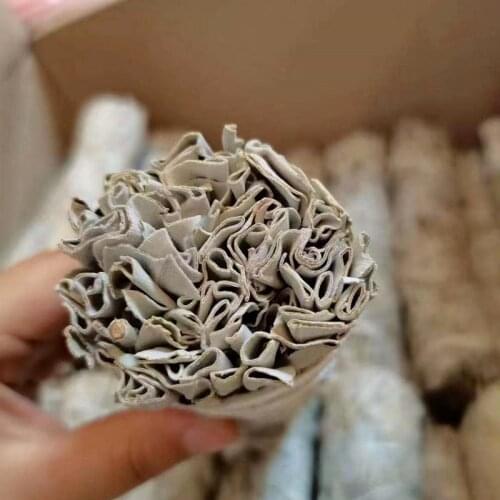 White Sage Space Degaussing Smoke Purifying Body and Mind Invigorating Spirit Abalone Shell Holy Wood Spice Indoor Aromatherapy