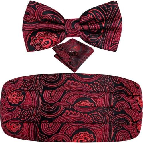 YF-2006 Hi-Tie Silk Mens Cummerbunds wide Belt for Men Luxury Red Paisley Cummerbunds and Bowtie Set for Tuxedo Corset Belt