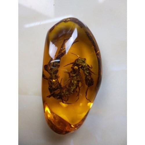 Exquisite Chinese collection Artificial Amber Resin vivid Centipede