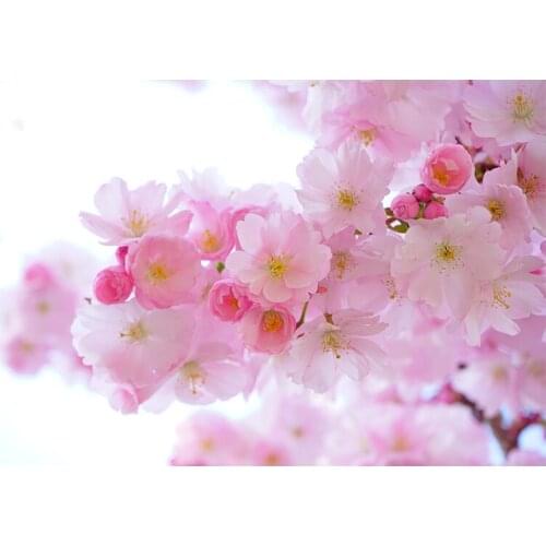 5D Diy Diamond Painting Flowers Peach blossom Cross Stitch Diamond Mosaic Needlework Diamond Embroidery Home Decor Handcraft