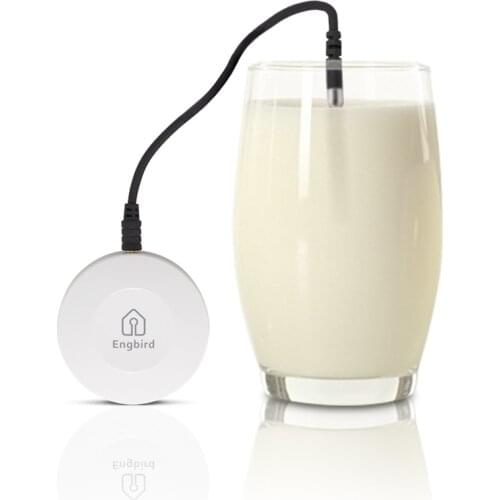 Inkbird Smart Home Temperature and Humidity Sensor Digital Thermometer Indoor Outdoor Measurement Works with Engbird App IBS-TH1