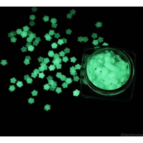 Luminous Sequins Glow In the Dark Glitters Resin Jewelry Findings Nail Art Craft N25 20 Dropshipping