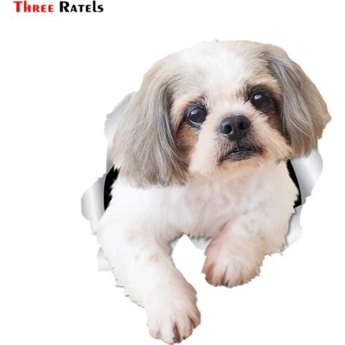 Three Ratels FTC-1072 3D Curious Shih Tzu Dog Sticker Car Sticker Decal for Car Wall Toilet Kids Room Luggage Skateboard Laptop