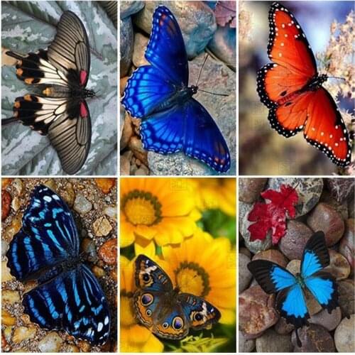 Butterfly 5D Diy Full Square Round Drill Animal Diamond Painting Embroidery Cross Stitch Resin Mosaic Wall Art Home Decor Gift
