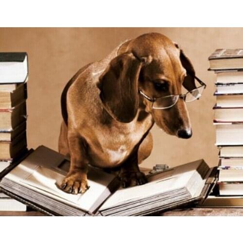 Embroidery Square/round Full Drill Picture Rhinestone Mosaic Dog Reading Diy Diamond Painting Cross Stitch