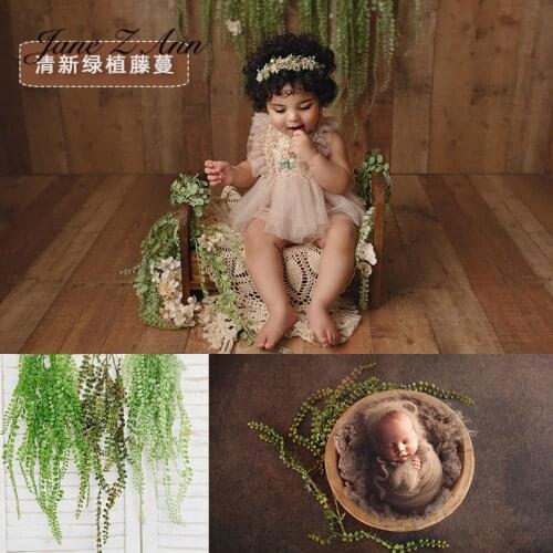 Baby photography accessories small leaves vines green plastic plants simulated floral decoration home newborn photo props