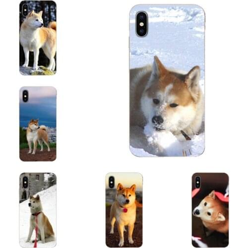 Tpu Phone Case For HTC Desire 530 626 628 630 816 820 830 One A9 M7 M8 M9 M10 E9 U11 U12 Life Plus Animal Cute Dog Akita Painted