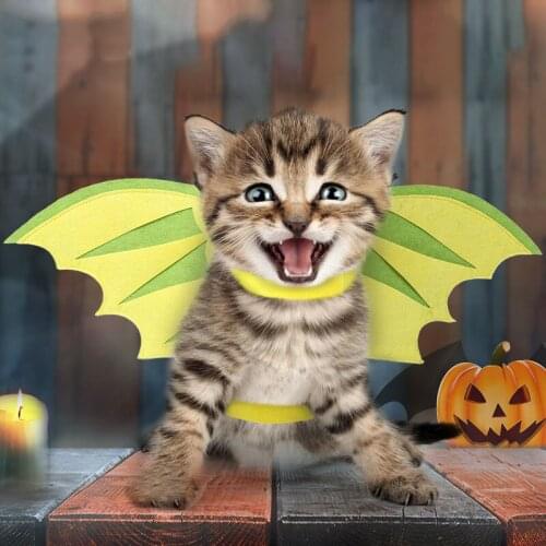 New Pet Dinosaur Wing Light and Fluffy Neck Halloween Cat and Dog Cute Fashion Dress Pet Supplies Habitat Décor Small Animals Re