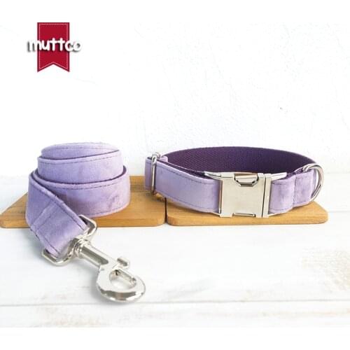MUTTCO walking training dog leash collar THE VIOLET engraved metal buckle pet supplies anti-lost neck collar 5 sizes UDC082