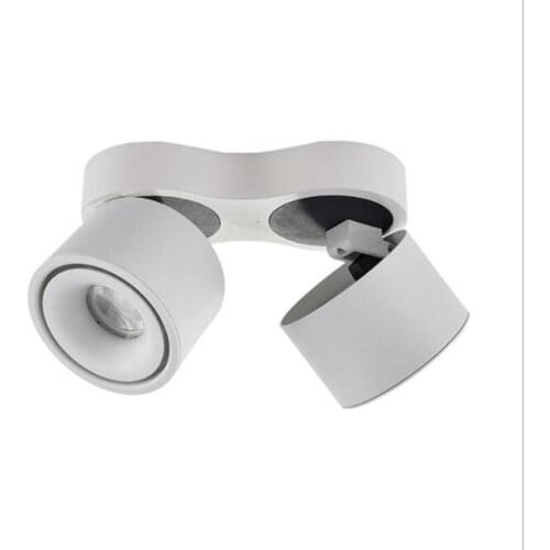 High Power 30W 40W Dimmable COB LED Ceiling Lamp Downlights 2x15W 2x20W Surface Mounted Indoor Lighting for Stores Shopping Mall