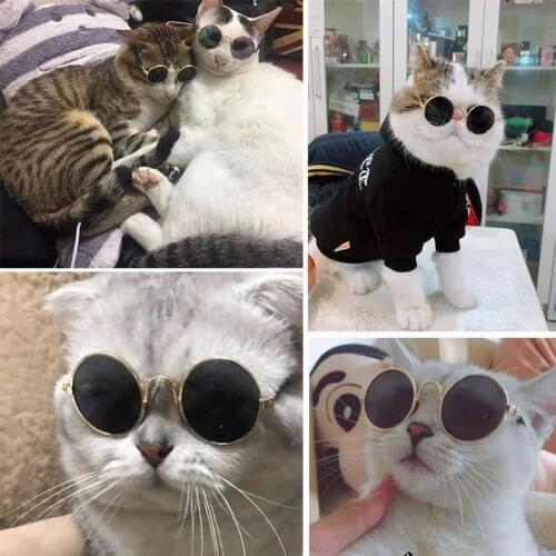 Eye-Wear Dog Sunglasses 1pc Lovely Pet Cat Glasses Dog Glasses Pet Products For Little Dog Cat Photos Pet Accessories