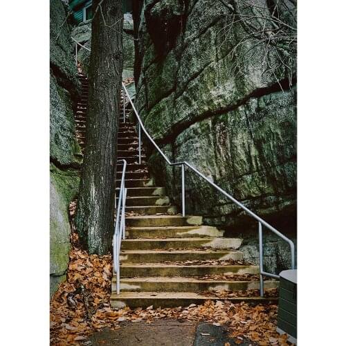 Mountain Steps Tree Branches Photography Background Vinyl Cloth Backdrops Photo Studio for Portrait Children Baby Photoshoot