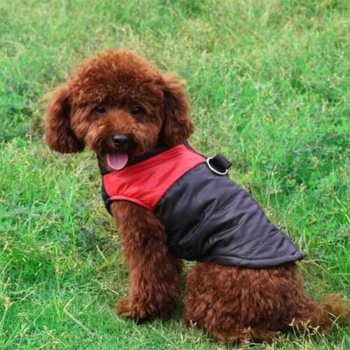 Pet Cotton-padded Clothes Dog Warm Windproof Coat Puppy Sleeveless Vest Sweatshirt For Small Dogs Outdoor Activity 2