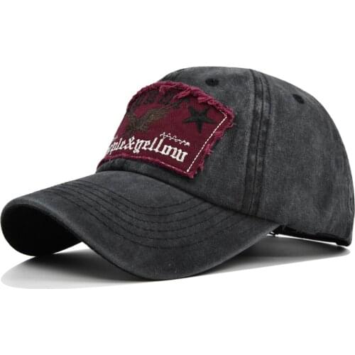 [DIFF COOL]Eagle pattern cap adjustable embroidery unisex letters washed baseball cap outdoor sports cap