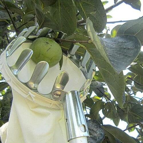 Fruit Picker for Picking Berries Comb Agricultural Hardware Tools Fruit Picking Device Orchard Garden jardim apanhador de fruta