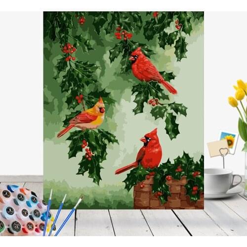 CraftArtGo Painting By Numbers Vivid birds On Canvas HandPainted Gift Picture By Number Waterfall Kits Home Decoration
