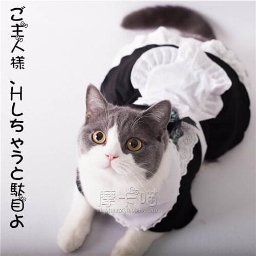 Cat dress cotton Pet sweet clothes Roles cosplay cat japanese maid costume uniform transformation hat suit Polyester dress